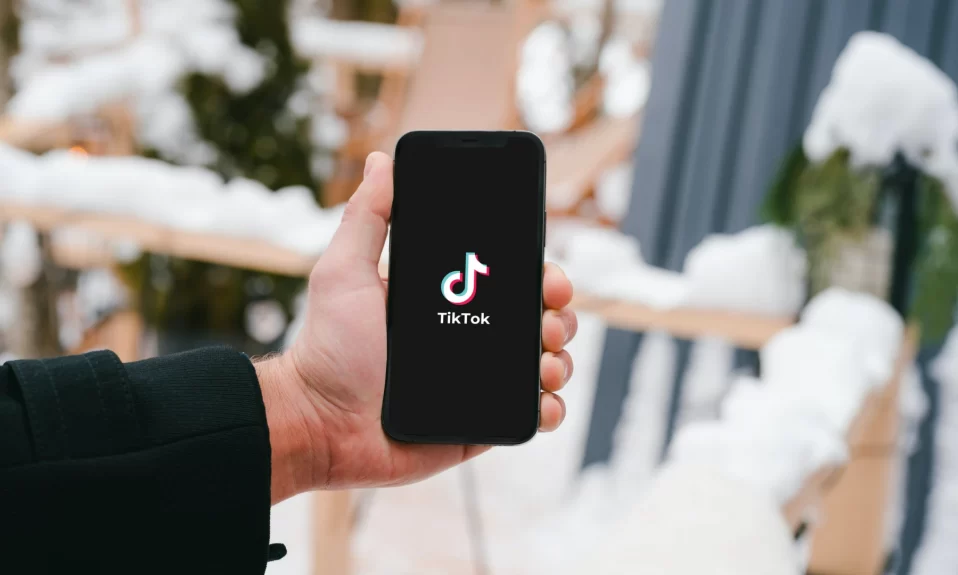 How To Save TikTok Videos Without Posting