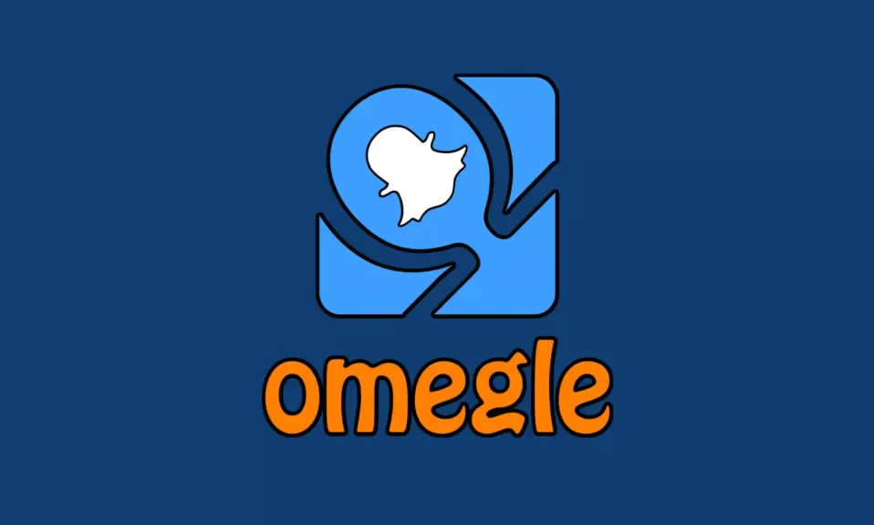 How To Get Snapchat Filters On Omegle